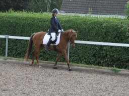 img_4640_web